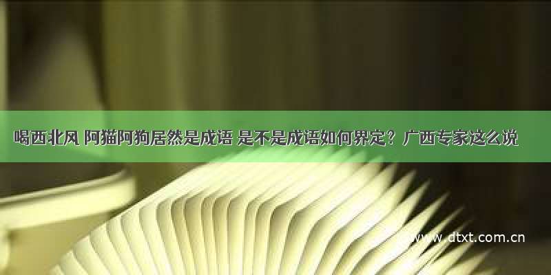 喝西北风 阿猫阿狗居然是成语 是不是成语如何界定？广西专家这么说