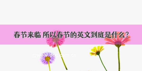 春节来临 所以春节的英文到底是什么？