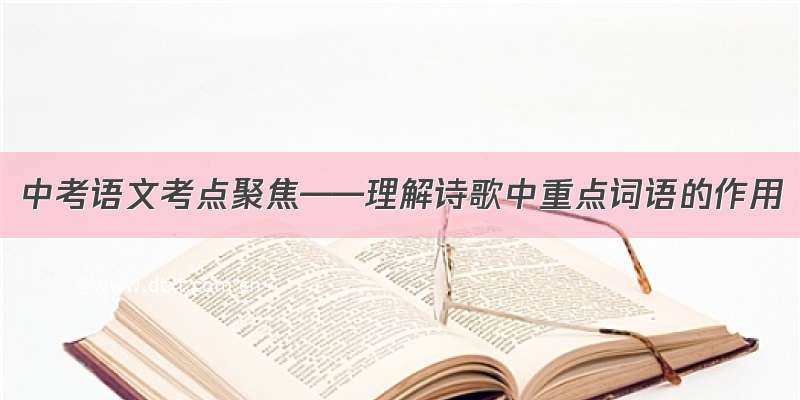 中考语文考点聚焦——理解诗歌中重点词语的作用