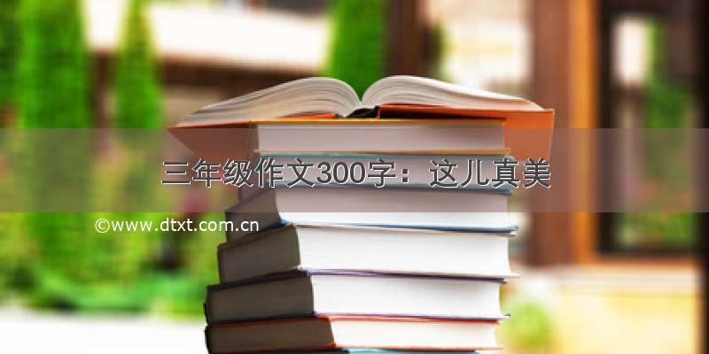 三年级作文300字：这儿真美