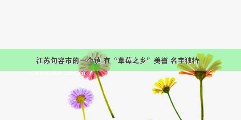 江苏句容市的一个镇 有“草莓之乡”美誉 名字独特