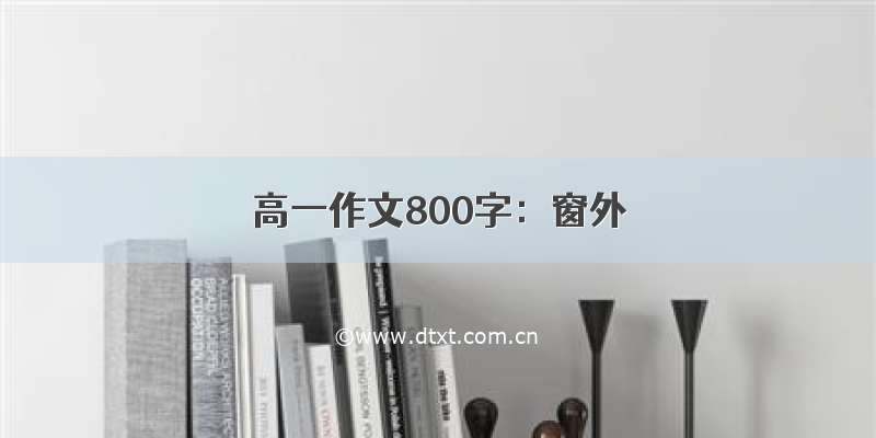 高一作文800字：窗外