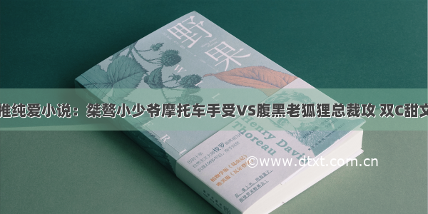 推纯爱小说：桀骜小少爷摩托车手受VS腹黑老狐狸总裁攻 双C甜文