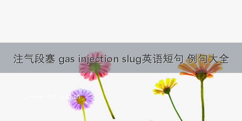 注气段塞 gas injection slug英语短句 例句大全