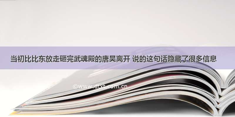 当初比比东放走砸完武魂殿的唐昊离开 说的这句话隐藏了很多信息