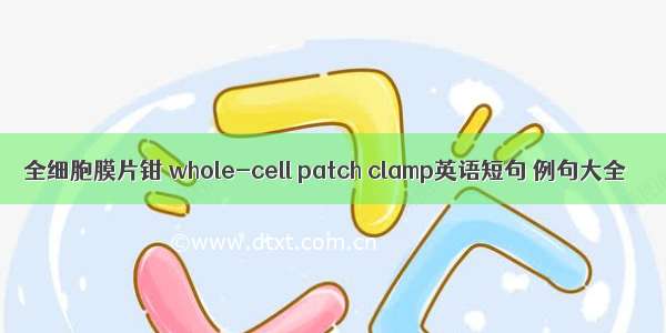 全细胞膜片钳 whole-cell patch clamp英语短句 例句大全