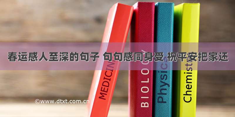 春运感人至深的句子 句句感同身受 祝平安把家还