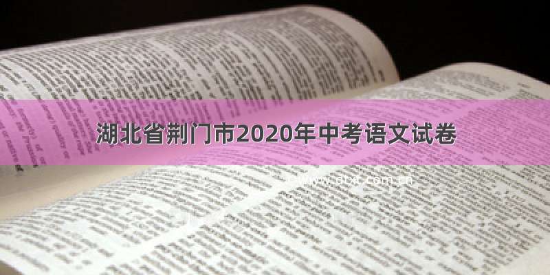 湖北省荆门市2020年中考语文试卷