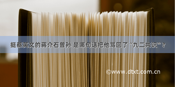 挺蔡英文的蒋介石曾孙 是哪句话把他骂回了“九二共识”？