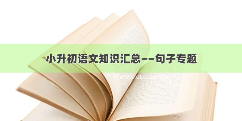 小升初语文知识汇总——句子专题