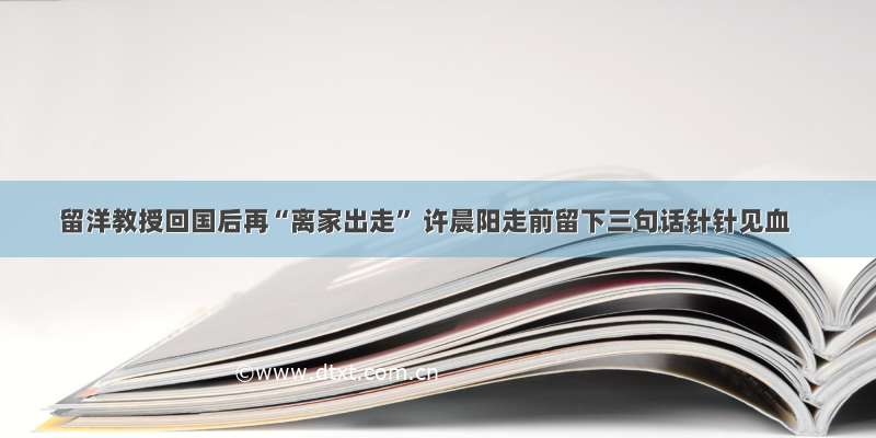 留洋教授回国后再“离家出走” 许晨阳走前留下三句话针针见血