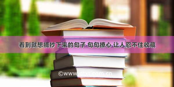 看到就想摘抄下来的句子 句句撩心 让人忍不住收藏