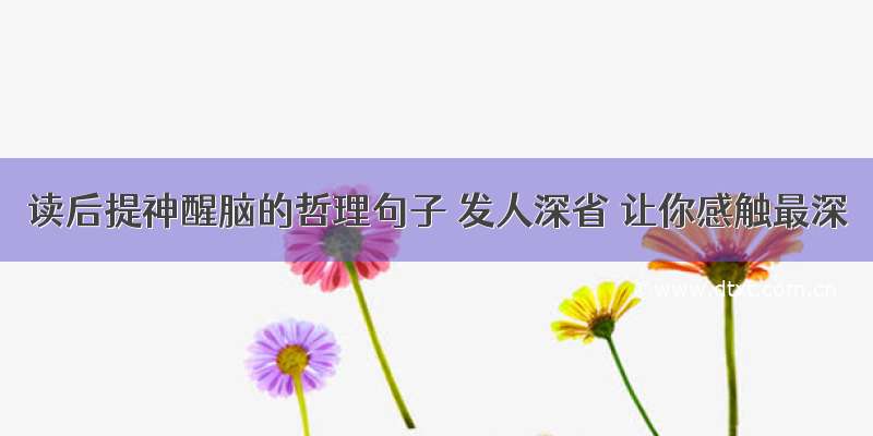 读后提神醒脑的哲理句子 发人深省 让你感触最深