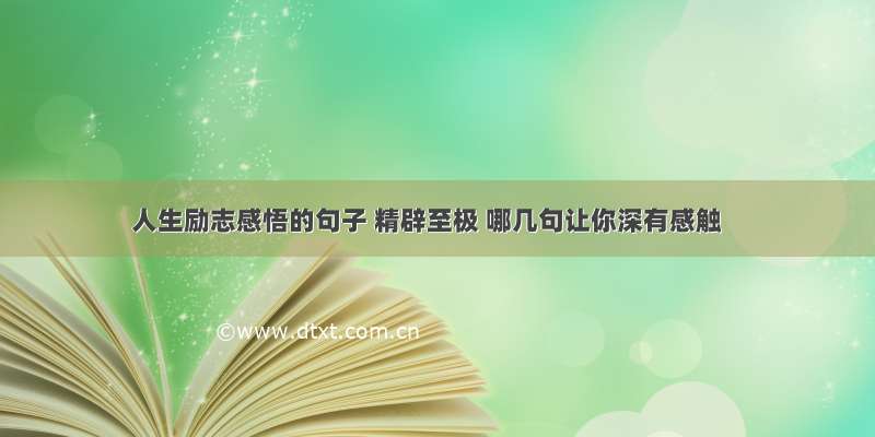 人生励志感悟的句子 精辟至极 哪几句让你深有感触