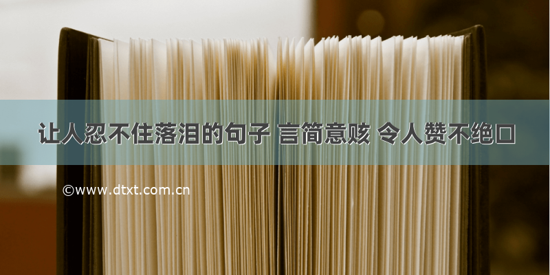 让人忍不住落泪的句子 言简意赅 令人赞不绝口