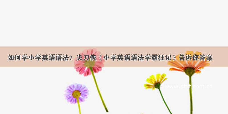 如何学小学英语语法？尖刀侠《小学英语语法学霸狂记》告诉你答案