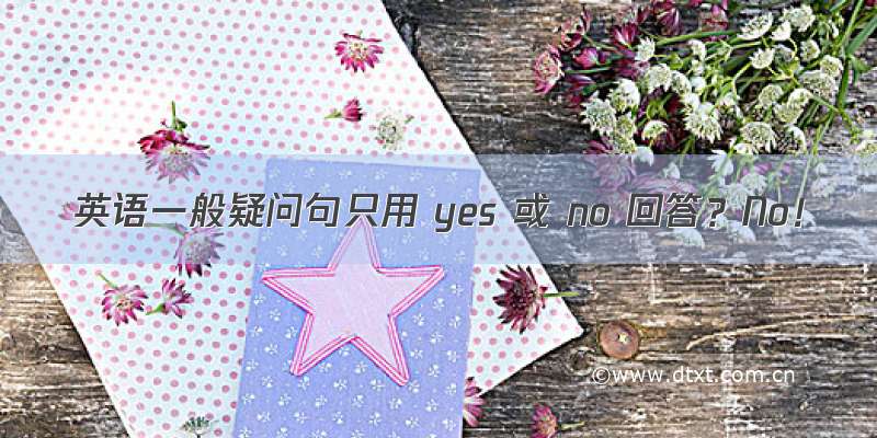 英语一般疑问句只用 yes 或 no 回答？No！