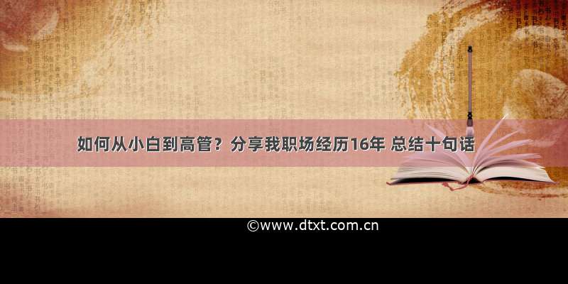 如何从小白到高管？分享我职场经历16年 总结十句话