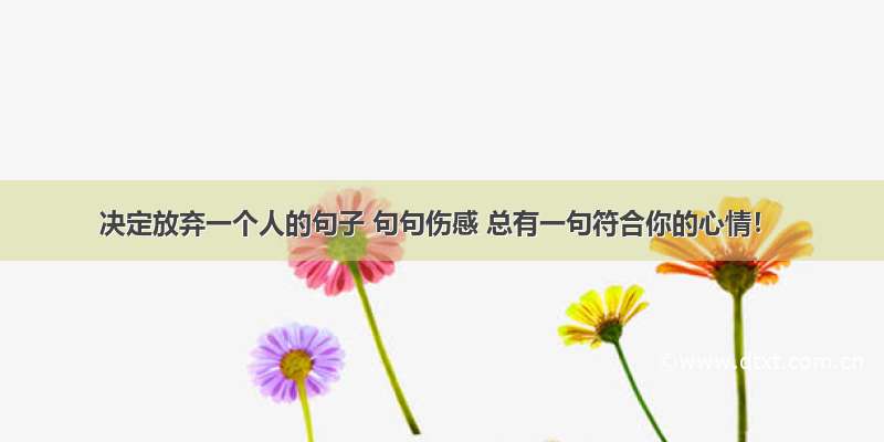 决定放弃一个人的句子 句句伤感 总有一句符合你的心情！