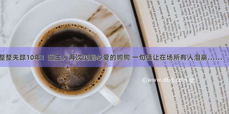 整整失踪10年！当主人再次见到心爱的狗狗 一句话让在场所有人泪崩……