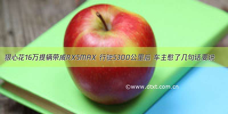 狠心花16万提辆荣威RX5MAX 行驶5300公里后 车主憋了几句话要说