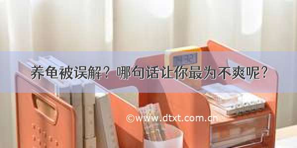 养龟被误解？哪句话让你最为不爽呢？