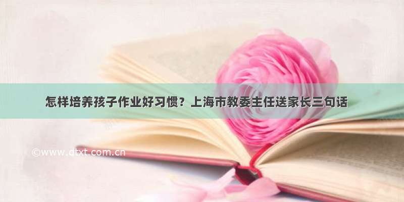 怎样培养孩子作业好习惯？上海市教委主任送家长三句话