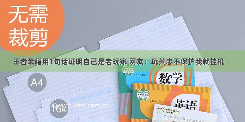 王者荣耀用1句话证明自己是老玩家 网友：玩黄忠不保护我就挂机