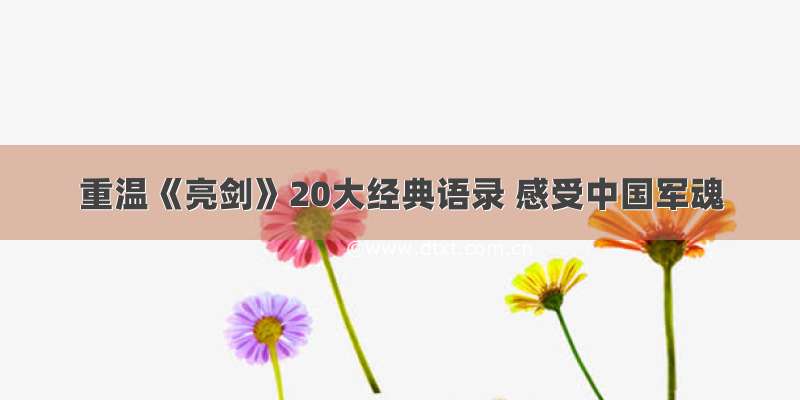 重温《亮剑》20大经典语录 感受中国军魂