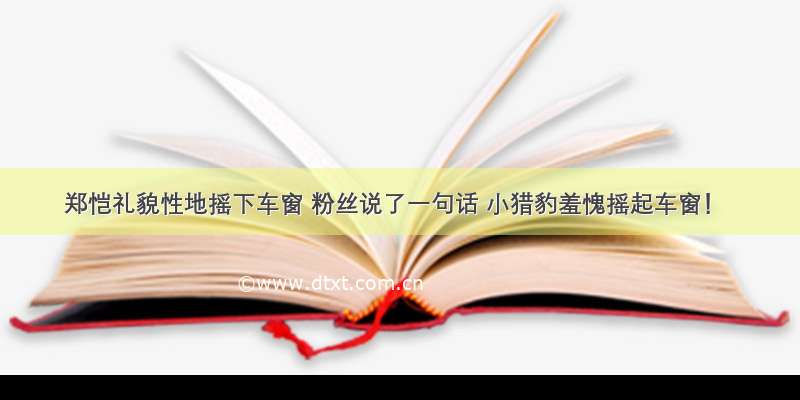 郑恺礼貌性地摇下车窗 粉丝说了一句话 小猎豹羞愧摇起车窗！