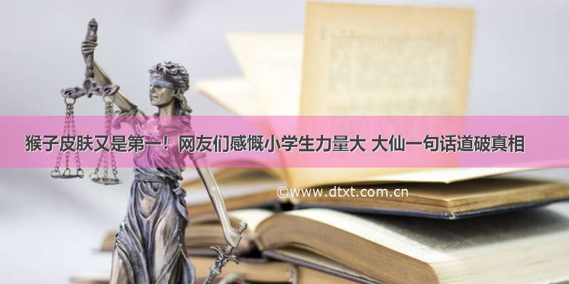 猴子皮肤又是第一！网友们感慨小学生力量大 大仙一句话道破真相