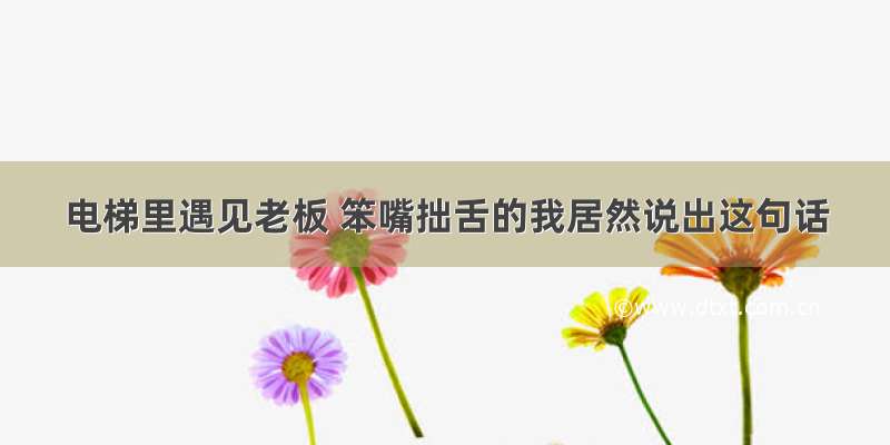 电梯里遇见老板 笨嘴拙舌的我居然说出这句话