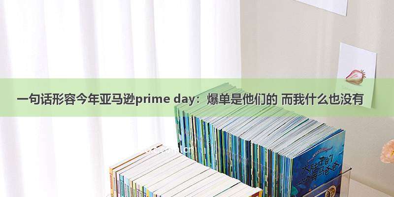 一句话形容今年亚马逊prime day：爆单是他们的 而我什么也没有