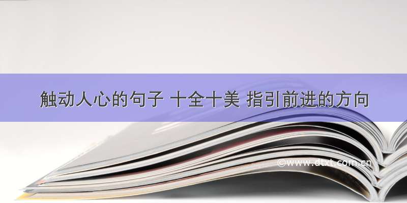 触动人心的句子 十全十美 指引前进的方向