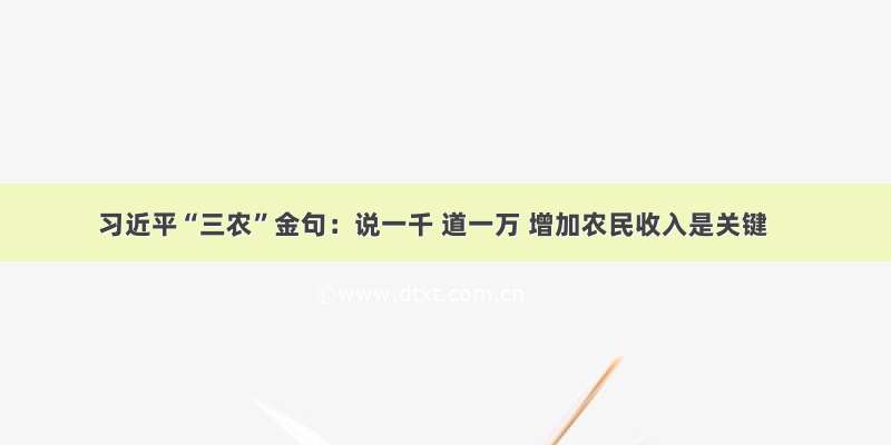 习近平“三农”金句：说一千 道一万 增加农民收入是关键