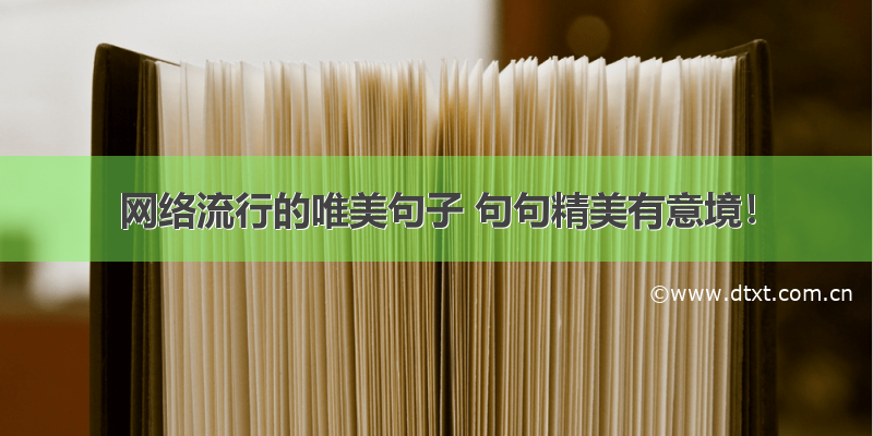 网络流行的唯美句子 句句精美有意境！