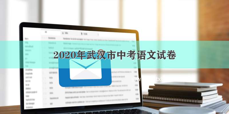 2020年武汉市中考语文试卷