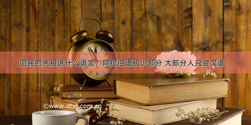 回民的先祖说什么语言？阿拉伯语极少部分 大部分人只会汉语