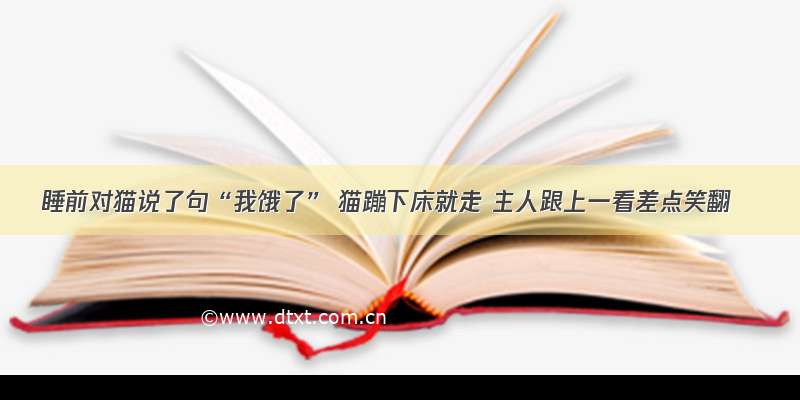 睡前对猫说了句“我饿了” 猫蹦下床就走 主人跟上一看差点笑翻