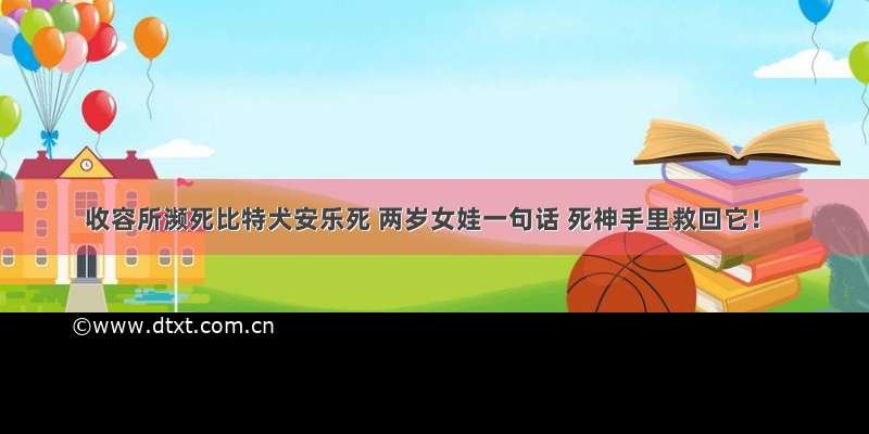 收容所濒死比特犬安乐死 两岁女娃一句话 死神手里救回它！