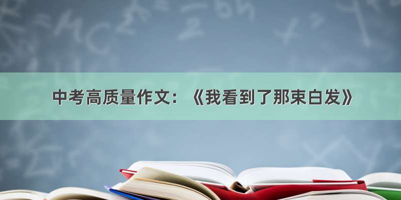 中考高质量作文：《我看到了那束白发》