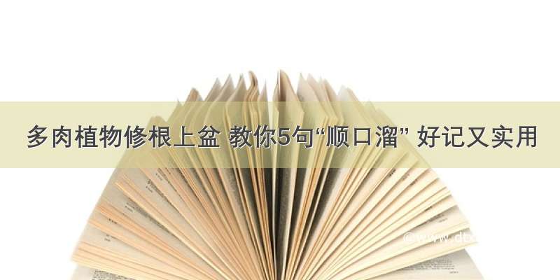 多肉植物修根上盆 教你5句“顺口溜” 好记又实用