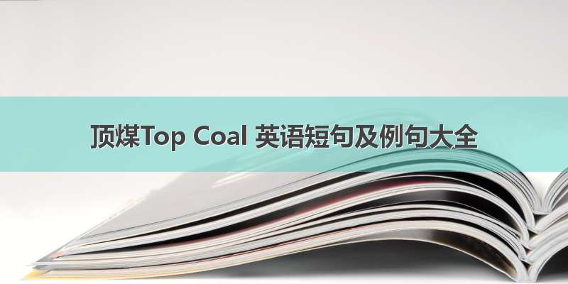 顶煤Top Coal 英语短句及例句大全