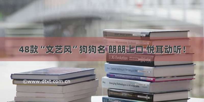 48款“文艺风”狗狗名 朗朗上口 悦耳动听！