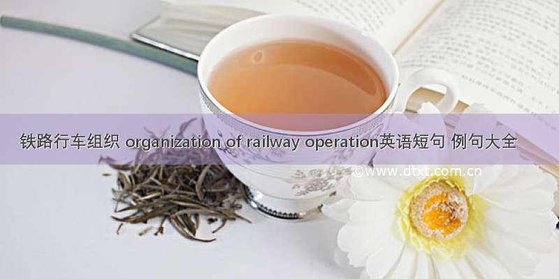 铁路行车组织 organization of railway operation英语短句 例句大全