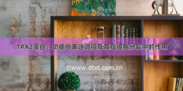 TPX2蛋白：功能与表达调控及其在细胞分裂中的作用