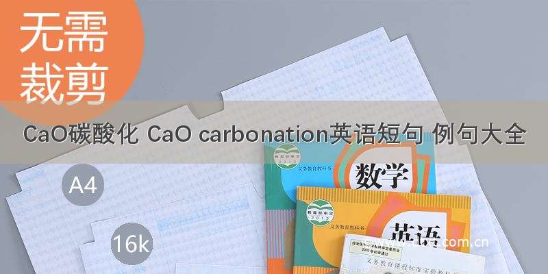 CaO碳酸化 CaO carbonation英语短句 例句大全