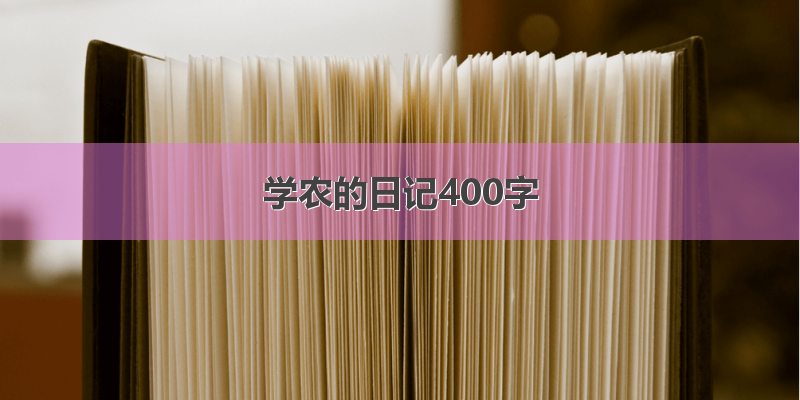 学农的日记400字