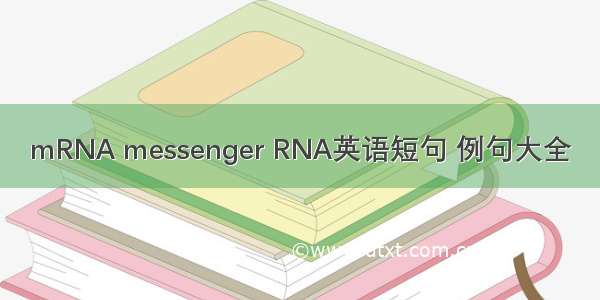mRNA messenger RNA英语短句 例句大全