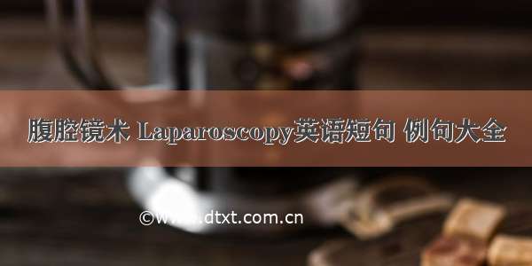 腹腔镜术 Laparoscopy英语短句 例句大全